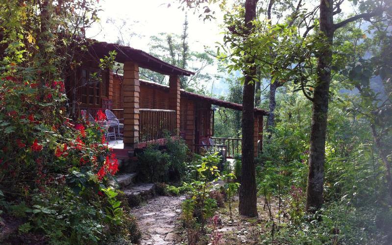 Tathagata Farm, Darjeeling 2